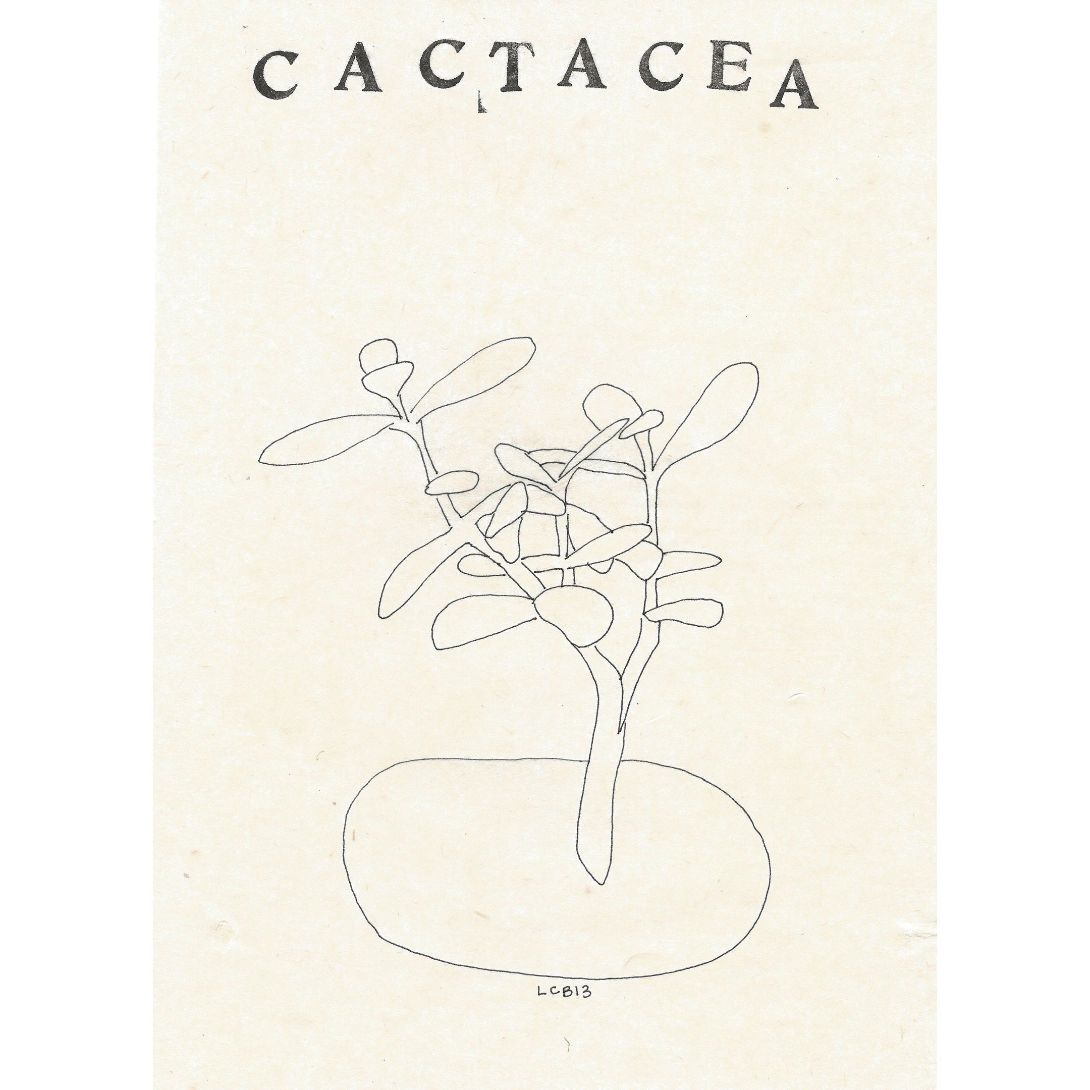 Cactacea II